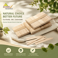 Bâtonnets de crème glacée en bois de bouleau de qualité alimentaire, durables et sans éclats, pour la production en masse