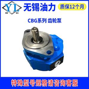 Bomba de Engranajes de Refuerzo Sichuan Changjiang Modelo CBY2010-1TR CBY2025-1FR CBY2032/2016/2040 Nueva Condición - Product Image 2