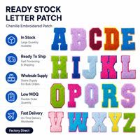 Parches de Chenilla con Letras de la A a la Z, Apliques Bordados para Ropa, Accesorios, Regalos y Reventa, Disponibles al por Mayor