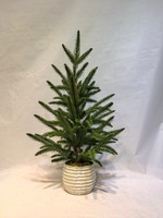 Sapin de Noël en cèdre de haute qualité avec des caractéristiques personnalisées pour la décoration festive de la maison