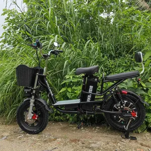 DISIY 60v ebike电池1000w 20Ah 30Ah v8pro摩纳哥monstr 16英寸脂肪轮胎自行车，适用于快递海滩城市可可
