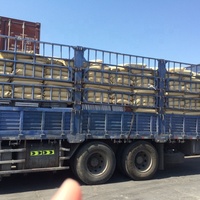 Boost Performance in Racehorses Levure Feed with Our Animal feed levure de levure de qualité alimentaire, poudre de levure alimentaire, levure alimentaire