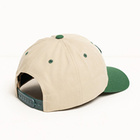 Gorra de Béisbol de Dos Tonos con Bloques de Color, Parche Personalizado, Logotipo Bordado en Chenille, Algodón Suave, para Moda Urbana