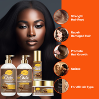 Ensemble Shampoing et Après-Shampoing Végétalien Personnalisé Chébé Croissance Capillaire, Réparation Cheveux Abîmés, Sans Sulfate, Anti-Pelliculaire