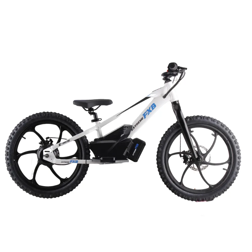 2023 Venda quente crianças equilíbrio elétrico bicicleta 36V 600W motor elétrico skate