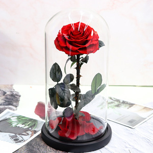 <span class=keywords><strong>Prix</strong></span> usine Roses éternelles vraies Roses immortelles en verre 15*30cm Roses préservées populaires dans un dôme en verre comprenant des boîtes-cadeaux - Product Image 6