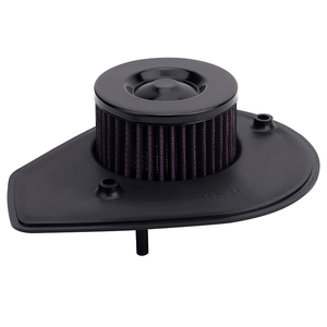 Piezas de motor de motocicleta elemento filtro de aire para <span class=keywords><strong>Harley</strong></span> <span class=keywords><strong>Davidson</strong></span> <span class=keywords><strong>Street</strong></span> XG 500 <span class=keywords><strong>750</strong></span> XG500 XG750 2015-2020 - Product Image 1