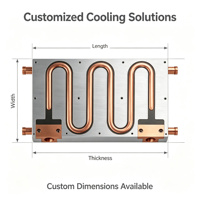 Plaque de refroidissement liquide CNC personnalisée avec tube en cuivre pour batterie de véhicule électrique