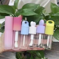 Nouveaux Tubes de Brillant à Lèvres en Plastique Dégradé Populaires 2025, 4ml et 6ml, Grande Capacité Rose avec Grande Brosse et Sérigraphie
