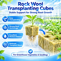 Blok Rockwool Langsung dari Pabrik, Daya Serap Air Tinggi 600 Persen, EC Rendah, Substrat Aman untuk Makanan, Bersertifikat CE ISO