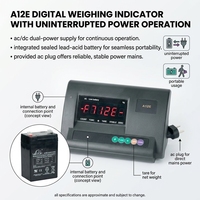 Indicateur de pesage numérique OEM haute précision personnalisé XK3190-A12E avec affichage LED pour balance à plateforme et usage industriel