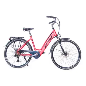 Çin orta sürücü vintage elektrikli bisiklet/bicicleta electrica e bisiklet ebike/elektrikli bisiklet fabrikadan satın