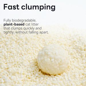 Lettiera per gatti di manioca con forte capacità di aggruppamento adatto per gatti sensibili disponibile in vari colori - Product Image 5