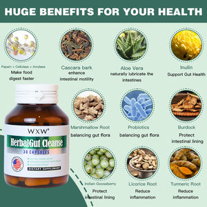 Most Selling Support Weight Management Support Gut Health Weight Loss <b>Capsule</b> Help Cleanse Detoxify <b>Apple</b> <b>Cider</b> <b>Vinegar</b> <b>Capsules</b> - Product Image 6