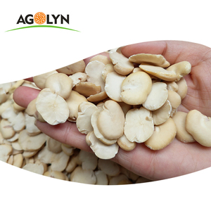 Granos anchos secos en lata, venta al por mayor, mejor precio - Product Image 5