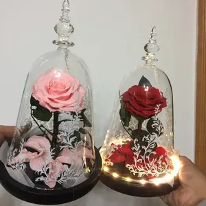 Natural preservada rose rosa com hastes em beleza e besta cúpula de vidro como presentes