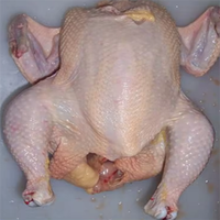 Filets halal congelés sans peau et sans pilons de poulet entiers congelés de bonne qualité et surgelés Poitrine de poulet congelée