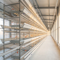 RAISETECH Cage à poules pondeuses de type H, système d'alimentation automatique et de collecte des œufs, nouvelle cage en acier galvanisé à chaud pour élevage avicole