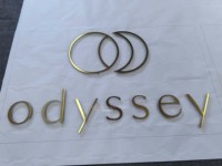 Enseigne en titane brossé électroplaqué, fabrication fine et de précision, enseigne personnalisée de haute qualité pour les devantures de magasins commerciaux