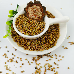 <span class=keywords><strong>Millet</strong></span> perlé hybride de qualité supérieure, jaune, blanc, rouge, doré, en vrac, fourni par l'usine - Product Image 2