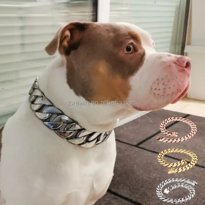 Rose Gold Chain Dog Collar
