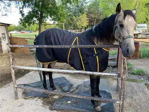 Selimut Kuda Musim Dingin Breathable Horse Rug berkuda kustom kain kuda kustom Logo khusus EXW Polyester Rip-stop 600D tahan air