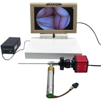 Xindi 4mm Appareil d'inspection électronique portable et pliable, Otoscope pour le nettoyage des oreilles, Endoscope industriel pour animaux de compagnie, Endoscope nasal