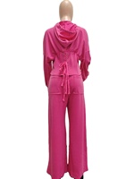 Conjunto de 2 Piezas de Ropa para Mujer 2026, Tallas S-2XL, Novedades, Sudadera Informal a la Moda con Pantalones