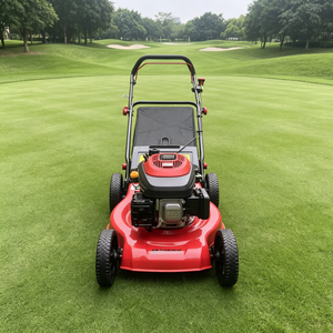 Lawn Mower for Grass Cutting Hay <b>Mini</b> <b>Hand</b> Mower Propelled Machine Petrol Gasoline Lawn Mowers for Yard Tools Farm Household - Product Image 2