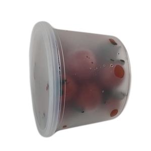 Mini 250g 500g Rond Transparent Congelé PP Matière alimentaire de qualité alimentaire Salade Fruit Gobelets en plastique avec couvercle Contenant - Product Image 1