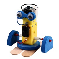 Kit de robot rampant éducatif en bois et plastique pour enfants de 5 à 13 ans, unisexe, directement de l'usine