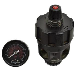 Regulador Manual de Alto Flujo Serie R24, Modelo R24-200-RNLA - Product Image 2