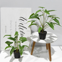 Plante artificielle Arrowhead Vine Variegated Philodendron Syngonium Podophyllum Taro Leaf Faux Bonsai 50cm Décoration de centre de table pour mariage et Pâques