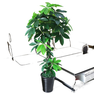 Pianta di simulazione in vaso albero della fortuna artificiale grande pianta verde finta plastica ornamenti soggiorno decorazione d'interni del pavimento - Product Image 5