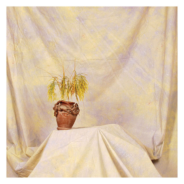 High Quality Factory Hand-Dyed Muslin Background Backdrop for Model Show