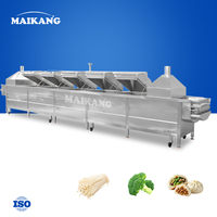Industriële continue kip-groente-dumplings stoomverwarmingsapparatuur intelligentie automatische motor voor hoge efficiëntie