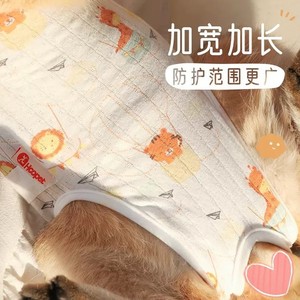 Trajes personalizados para la esterilización de gatos, batas quirúrgicas para gatas madre, trajes postoperatorios anti-lamido para gatos domésticos, y - Product Image 4