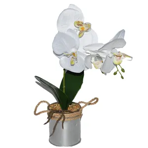 Yapay mini kurutulmuş çiçek orkide bonsai, ev düğün parti dekorasyon