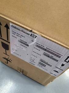 Débitmètre E+H Endress+Hauser Promag 10L, diamètre nominal DN25 à DN2400, paramètres - Product Image 4