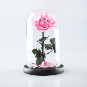 Vera <span class=keywords><strong>rosa</strong></span> in vetro cupola di fiori eterni per ragazza donna regalo di san valentino rosso 1 pezzo - Product Image 4