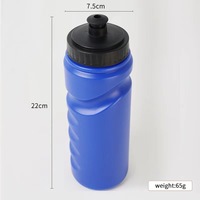 Personnalisé 750ml HDPE Vélo Vélo Sport Bouteille D'eau En Plastique Sans BPA pour Camping Usine Directe