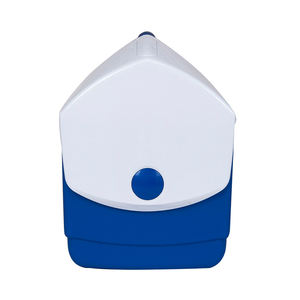 LIHENG Refrigerador de Vacunas Portátil de 20L, Caja Refrigeradora Médica Aislada con Asa de PP, Caja Refrigeradora con Cierre para Almacenamiento de <span class=keywords><strong>Insulina</strong></span> - Product Image 2