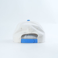 Gorras de Perfil Bajo con Visera Ligeramente Curvada, Diseño Personalizado OEM de Alta Calidad, 5 Paneles, con Logotipo Bordado Plano