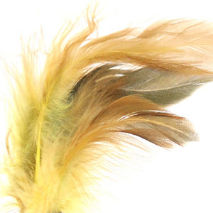 Juguete para gatos con forma de pelota de plumas, hecho de plástico seguro y no tóxico, tamaño pequeño 25*6cm, para parques de juegos. - Product Image 5