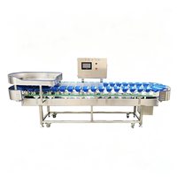 Industriële sorteer- en sorteermachine voor avocado's, tomaten, appels, mango's, meloenen en aardappelen op maat.