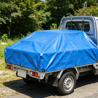 Bonne Qualité Meilleur Prix 4X4 Taille Bleu PE Bâche Pour Camion Couverture Et Pneu