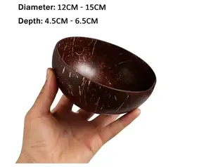 Tailai custom logo high quality hand made eco friendly organic unpolished small wood salad coconut shell bowls with spoons