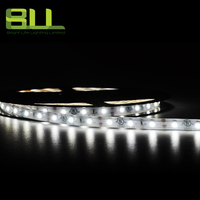 Tira de luces LED IP65 SMD 3528 60led/M, tira led flexible 6000K DC12V, cinta de luz LED impermeable para uso en exteriores