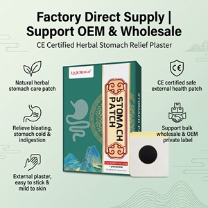 Cerotto alle Erbe Monouso Portatile OEM/ODM a Marchio Privato per Mantenere una Sensazione di Comfort Intestinale Tutto il Giorno - Product Image 6