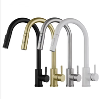 Robinet de cuisine en acier inoxydable avec douchette extractible, multicolore, noir mat, or, gris anthracite, mitigeur d'évier à poignée unique, design moderne